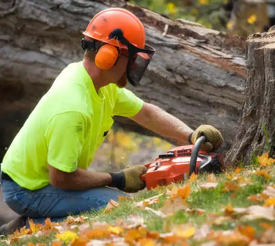 tree services Mullen